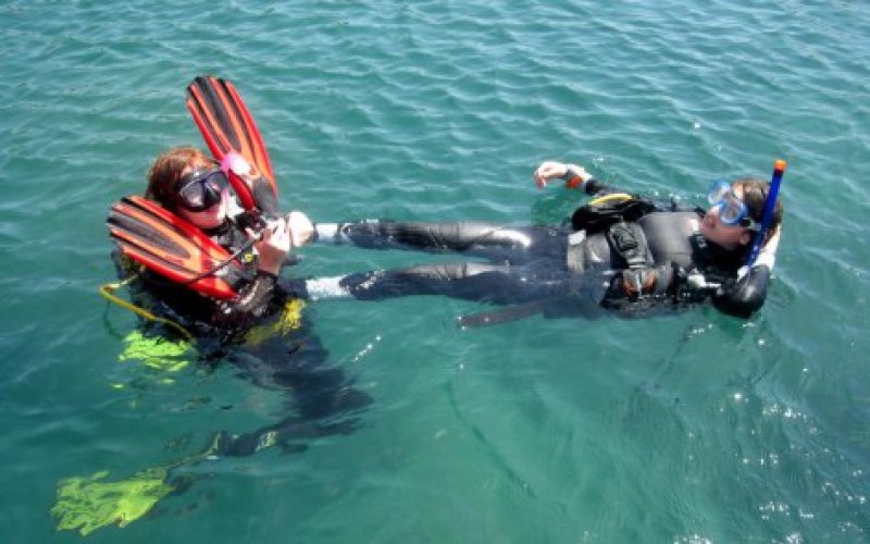 Camayan Divers