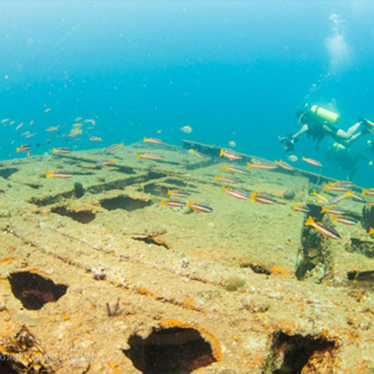 Camayan Divers